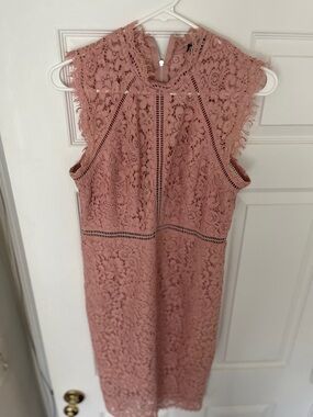 Bardot Rose Mauve Lace Midi Dress